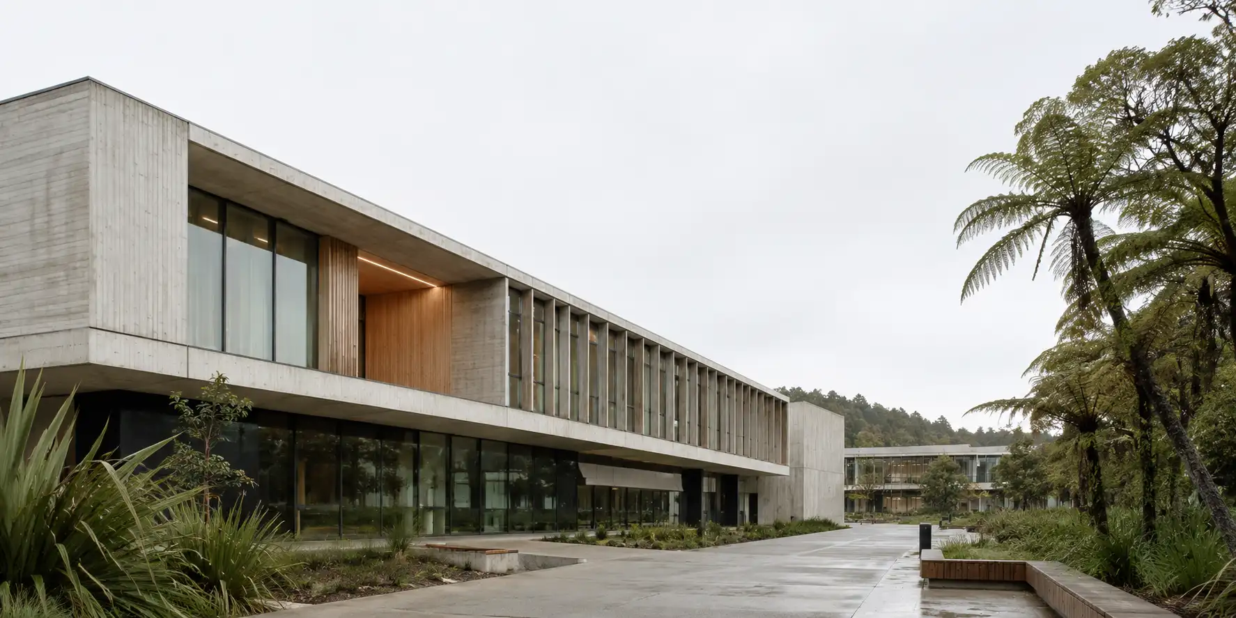 Contemporary New Zealand university architecture in concrete, glass and pale timber beside a quiet campus walkway in natural daylight