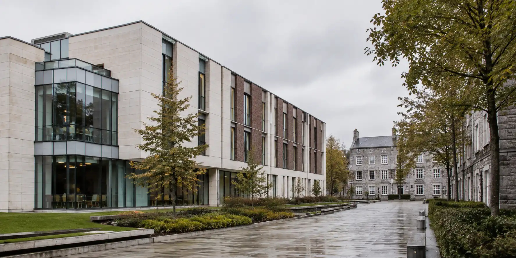 Editorial architectural photograph of a contemporary Irish university building in pale limestone and glass, mature trees along a quiet campus pathway under overcast daylight
